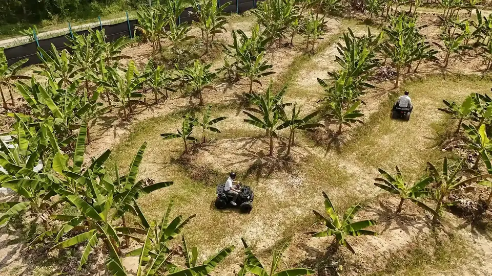 ATV riding through orchard at Suka Camping